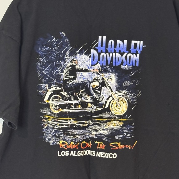 VINTAGE Harley Davidson Riding Out The Storm Graphic Shirt Los Algodones México